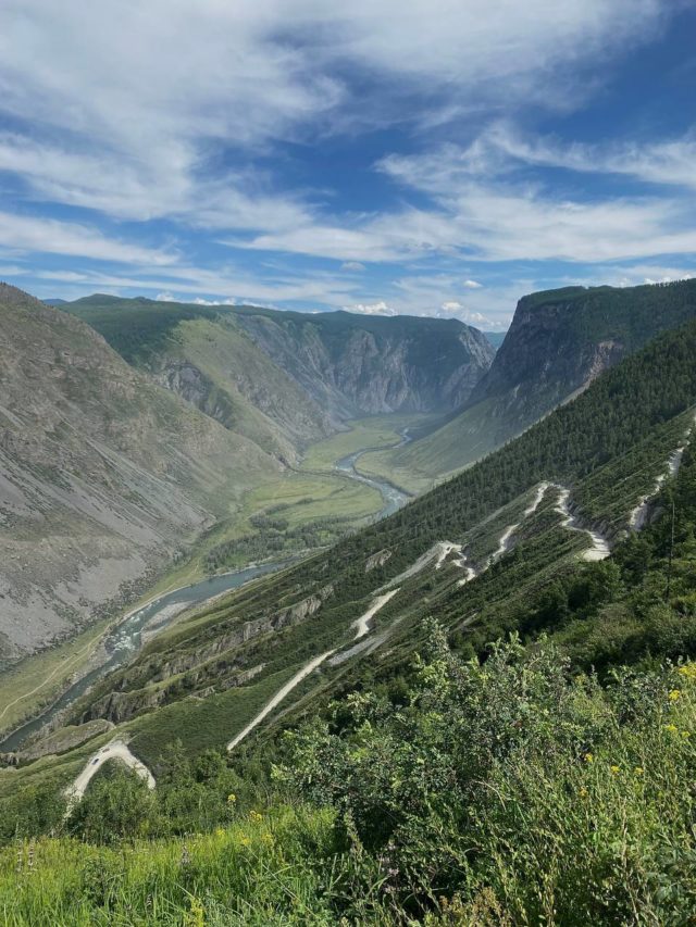 Золотая Шория